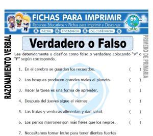 crea tu test de verdadero o falso